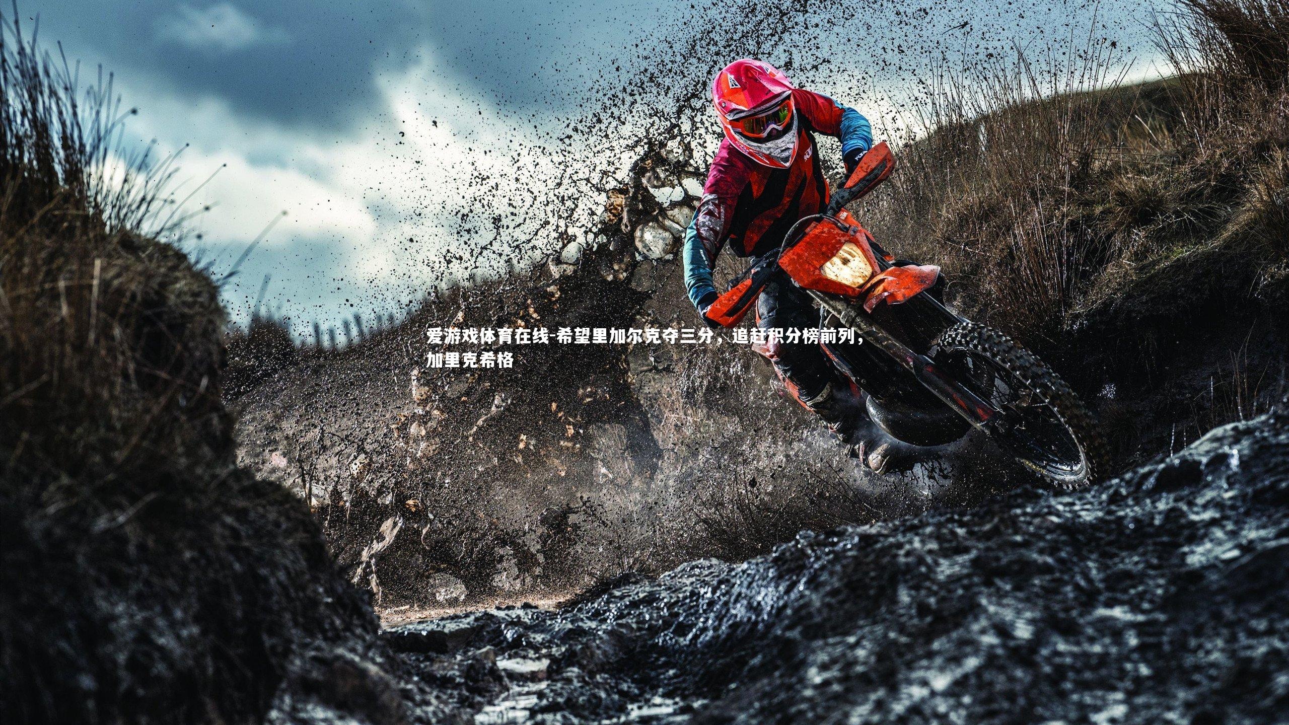 希望里加尔克夺三分,追赶积分榜前列,加里克希格