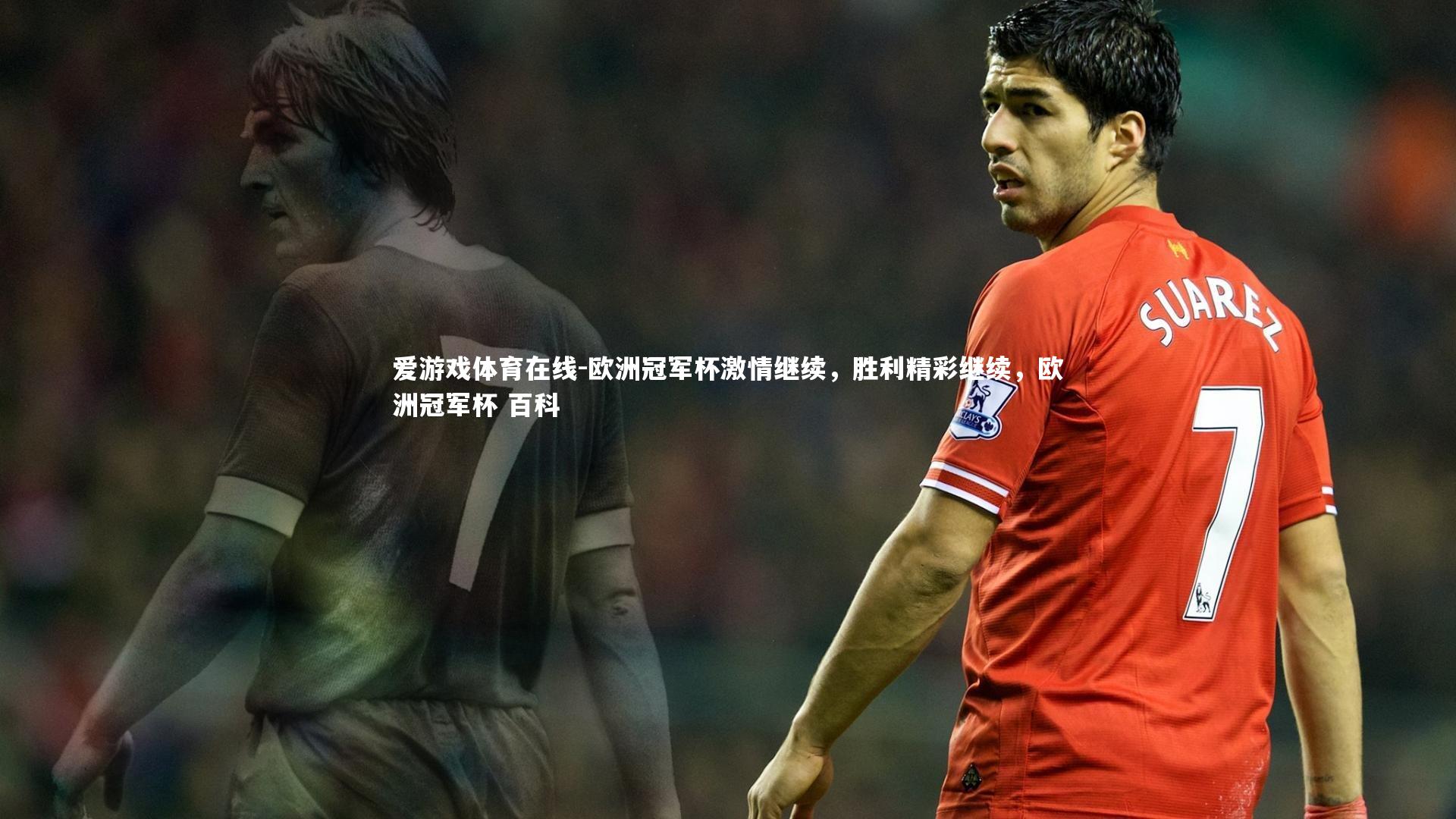 欧洲冠军杯激情继续,胜利精彩继续,欧洲冠军杯 百科