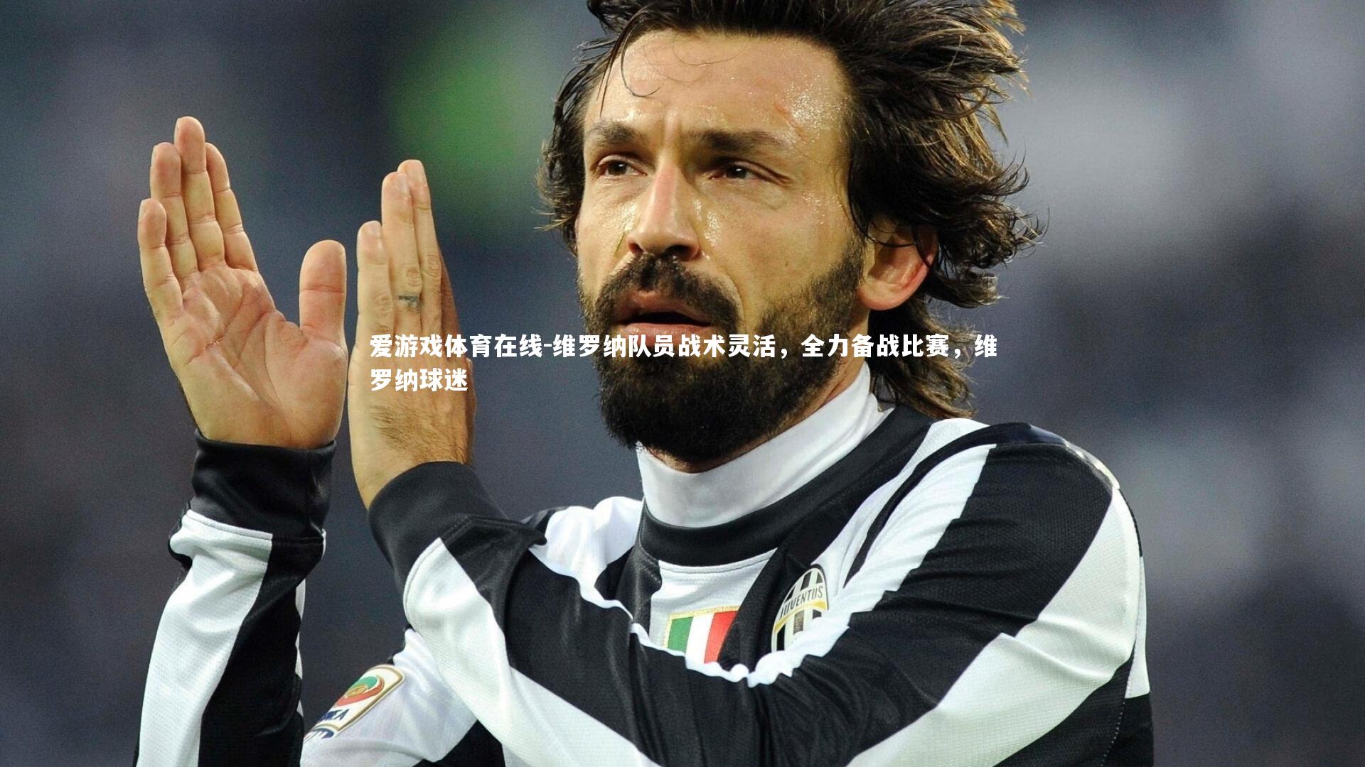 维罗纳队员战术灵活,全力备战比赛,维罗纳球迷